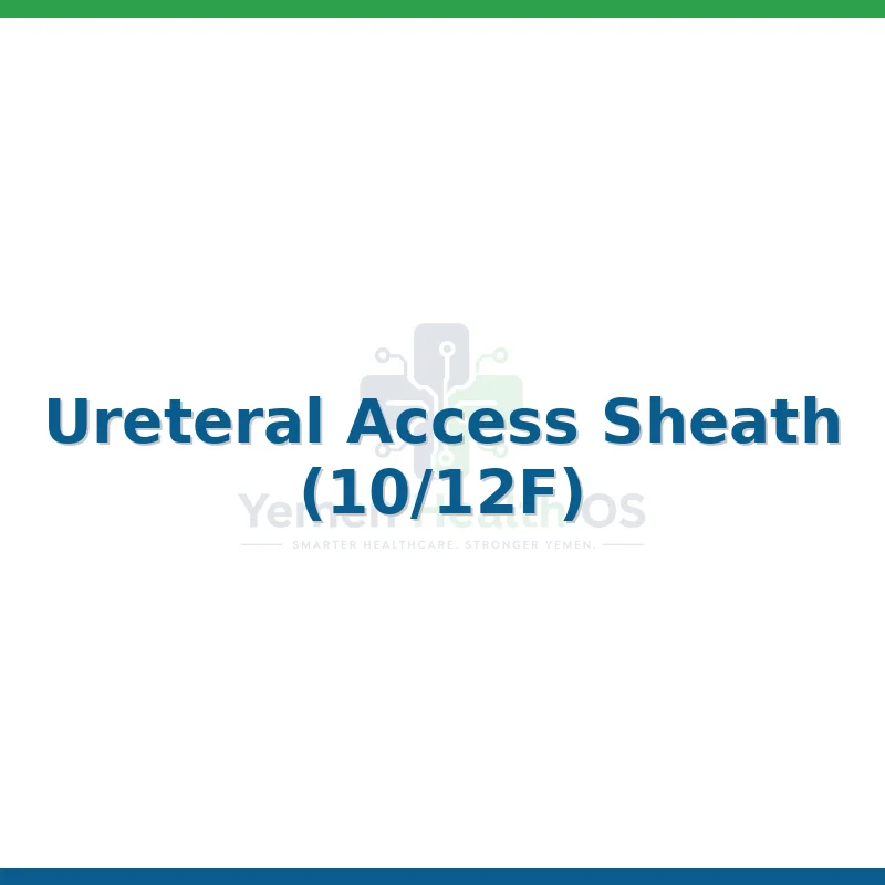 Ureteral Access Sheath (10/12F)